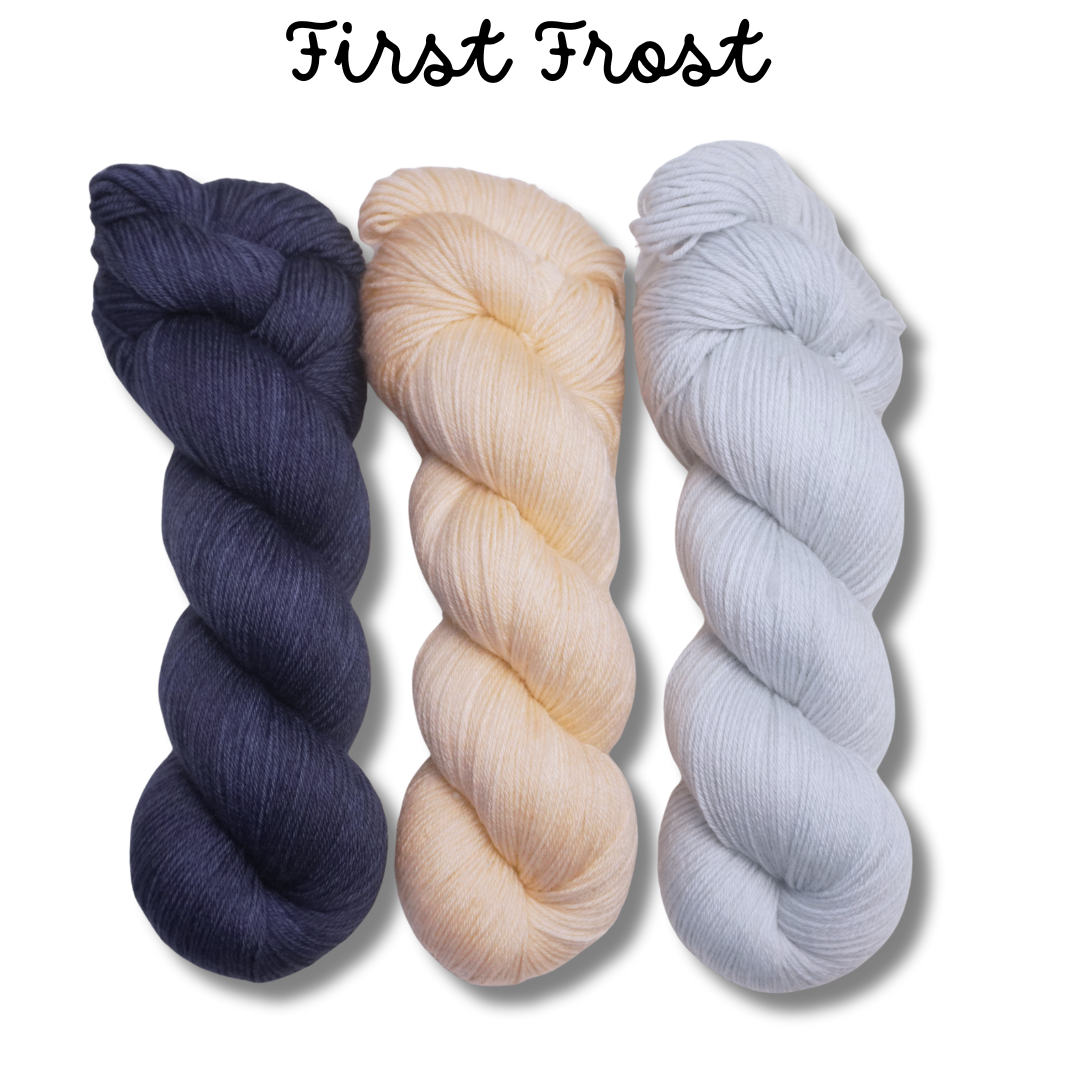 The Blossoming Garden 2025 Fall Edition | 3 Skein Set | Fingering Weight | Plush Sock Base