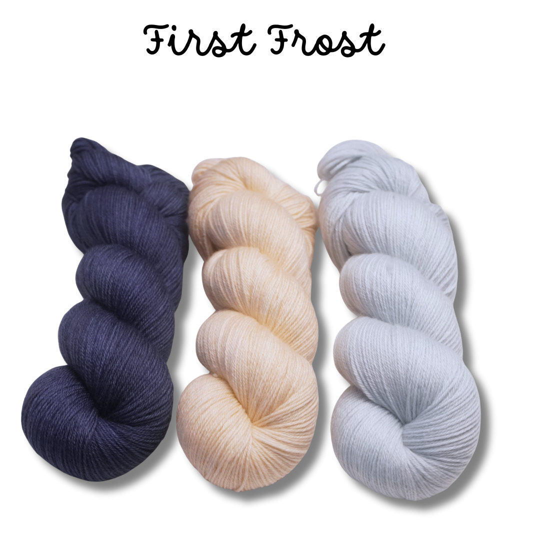 The Blossoming Garden 2025 Fall Edition | 3 Skein Set | Fingering Weight | Plush Sock Base