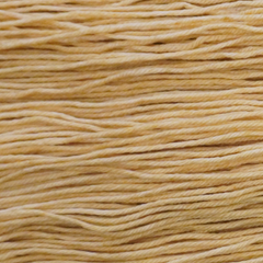 Honeycomb close-up