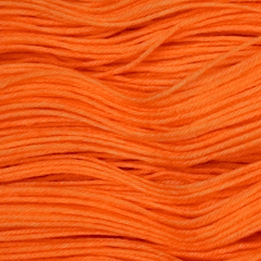 Tangerine close-up
