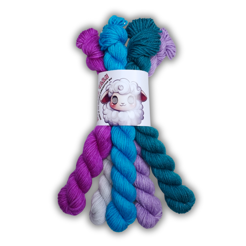 January 2026 | Staff Pick Mini Set | DK Weight