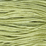 Pistachio
