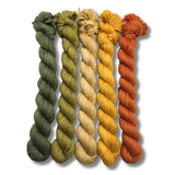 March 2026 | Staff Pick Palette | DK Weight