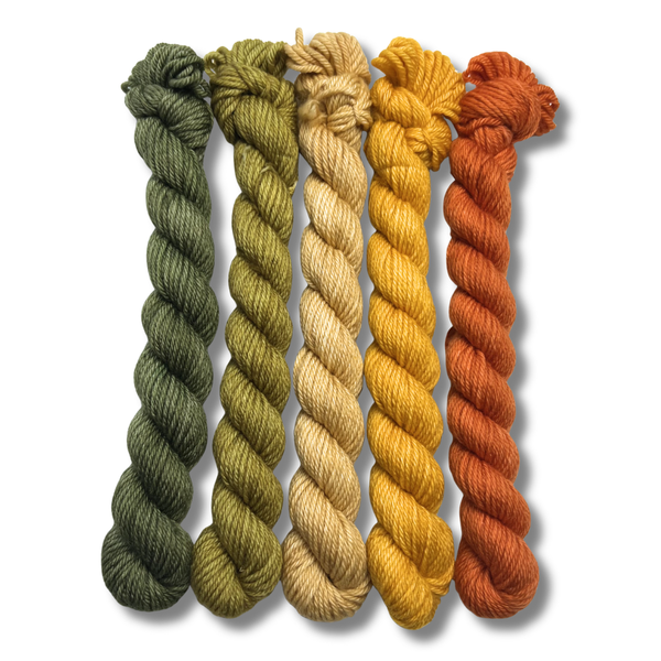 March 2026 | Staff Pick Palette | DK Weight