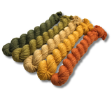 March 2026 | Staff Pick Palette | DK Weight