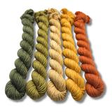 March 2026 | Staff Pick Palette | DK Weight