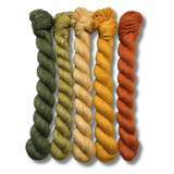 March 2026 | Staff Pick Palette | Fingering Weight