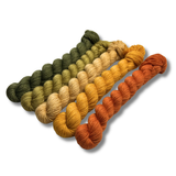 March 2026 | Staff Pick Palette | Fingering Weight