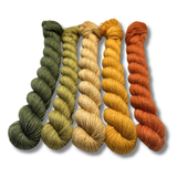 March 2026 | Staff Pick Palette | Fingering Weight