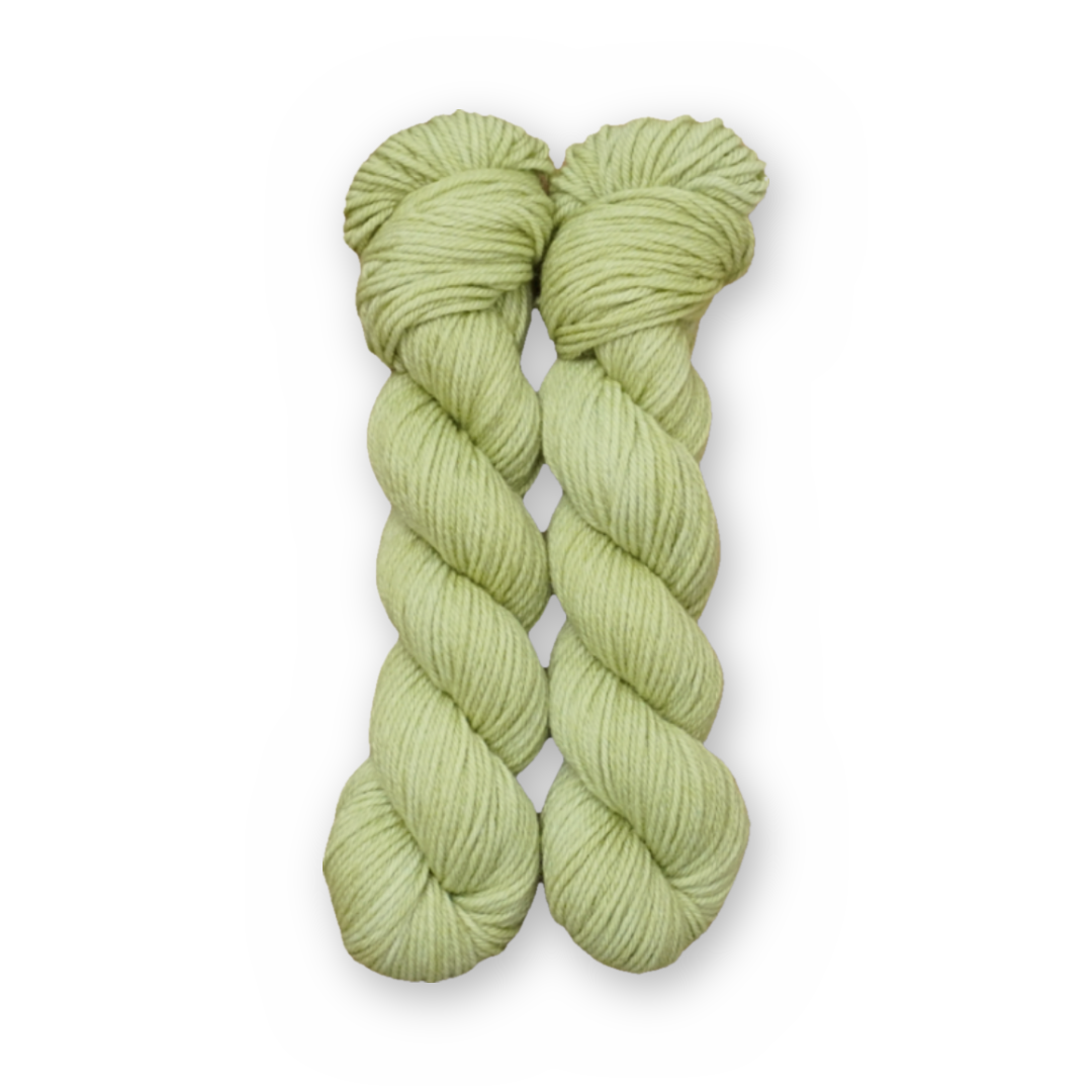 Pistachio DK Color Quartet main color: Pistachio Color Bar Plush DK weight yarn, 50g skein