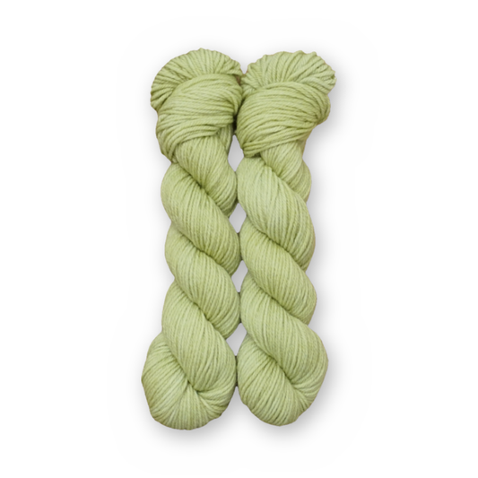 Pistachio DK Color Quartet main color: Pistachio Color Bar Plush DK weight yarn, 50g skein