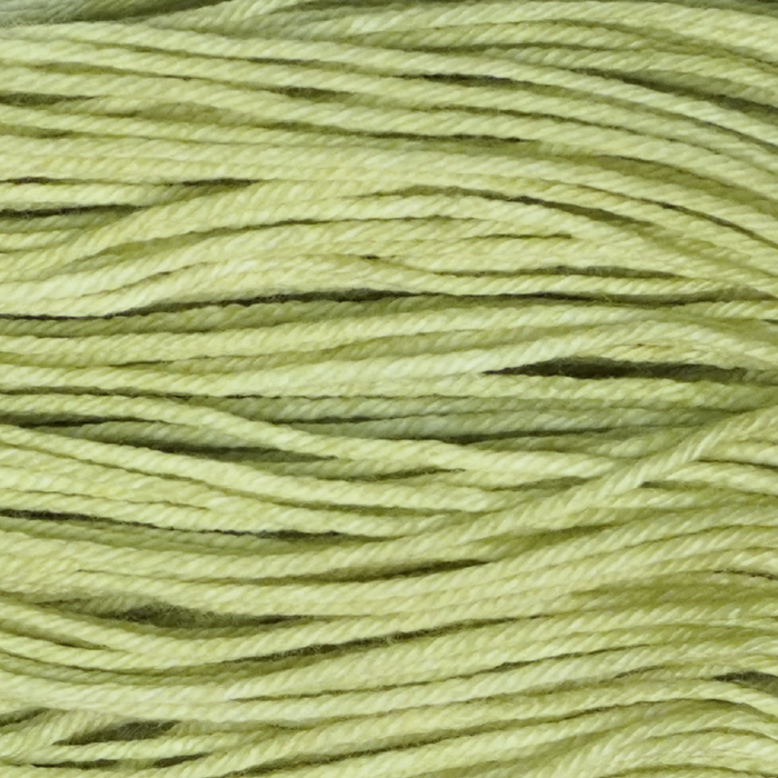 Pistachio Sock Set - Image 1