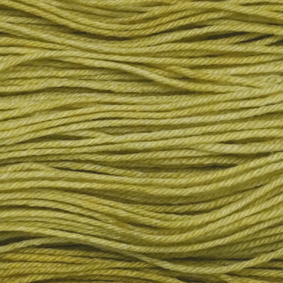 Pressed Olive up close