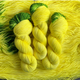 May 2025 | Squeeze the Day