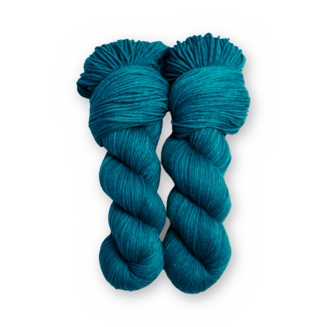 Twilight Pines DK Sock Set main color: Twilight Pines Color Bar Plush DK weight yarn, 100g skein